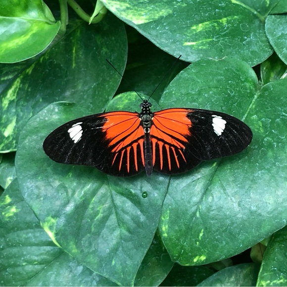 Meet your Posher, Emily - Picture 1 of 1